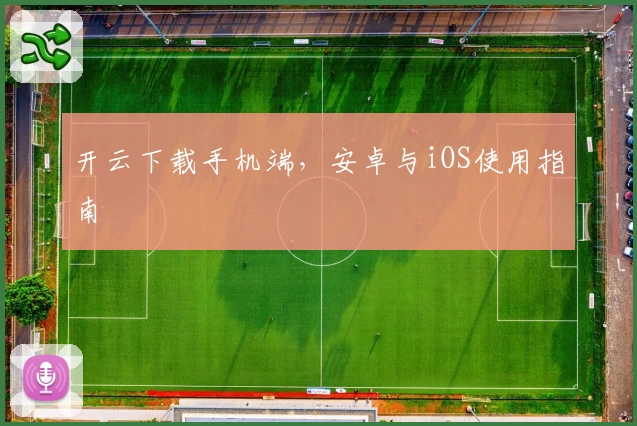 开云下载手机端，安卓与iOS使用指南