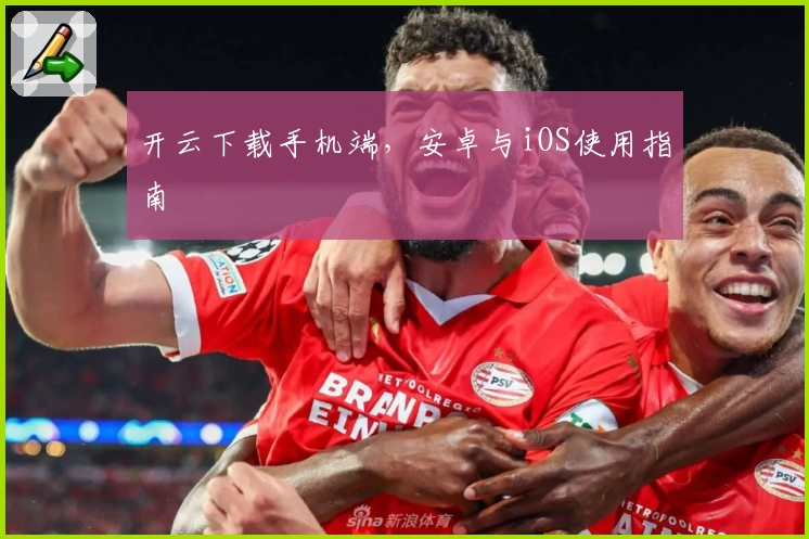 开云下载手机端，安卓与iOS使用指南