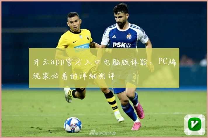 开云app官方入口电脑版体验，PC端玩家必看的详细测评