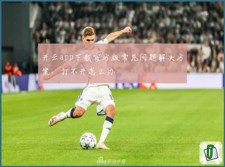 开云app下载官方版常见问题解决方案，打不开怎么办